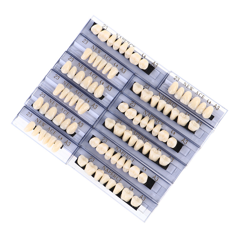 Resin Art Case - 168 unids/caja Dental resina sintética dentadura