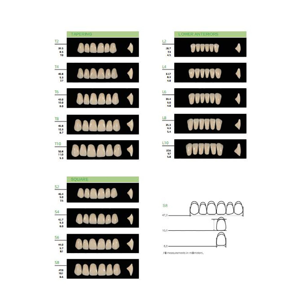 4/12/16 set/caja dientes de re - Resin Art Case reseña y precio